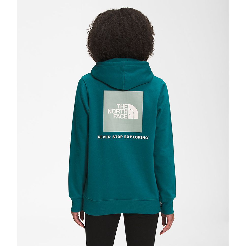 The North Face Hoodie Womens Australia - The North Face Box Nse Pullover Blue Never Stop Exploring (